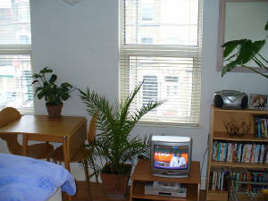 flat3.jpg