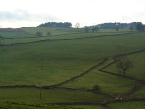 derbyp1000750.jpg