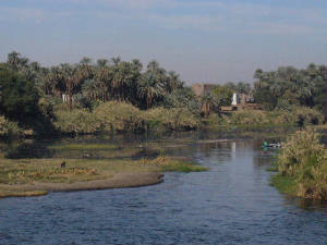egypt_cruise10.jpg