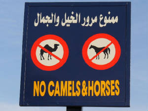 egypt_dahab01.jpg