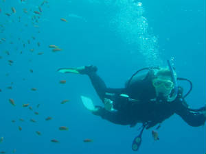 egypt_diving04.jpg