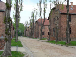 krakow19.jpg