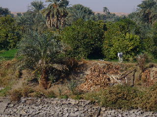 egypt_cruise09.jpg