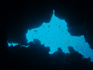 egypt_fishes10.jpg